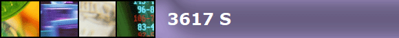 3617 S