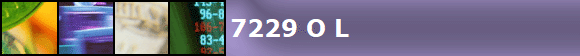 7229 O L