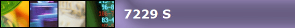 7229 S